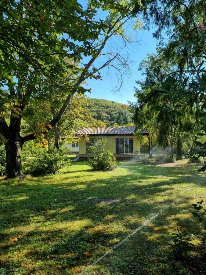 Fuk-Tak'S Bungalow Dojran Екстер'єр фото