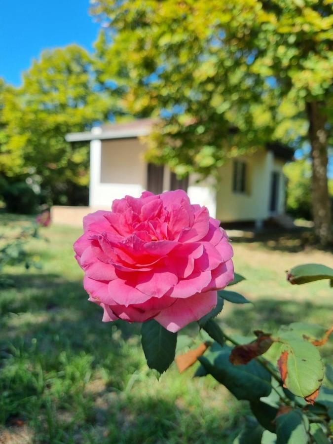 Fuk-Tak'S Bungalow Dojran Екстер'єр фото